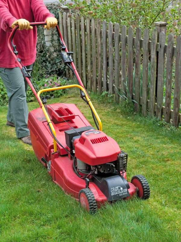 Professional Landscape Design